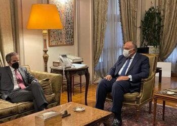 Choucri reçoit le directeur de l’AIEA