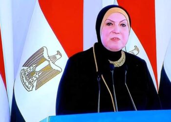 Gamea : Mise en place des services publics de 20 zones industrielles en Haute-Egypte