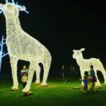 Les lumières de Noël scintillent à Charm Al-Cheikh 8 - Le Progrès Egyptien Les lumières de Noël scintillent à Charm Al-Cheikh 7 - Le Progrès Egyptien