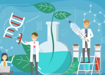 Rapport de la performance des départements du ministère de l’Enseignement supérieur