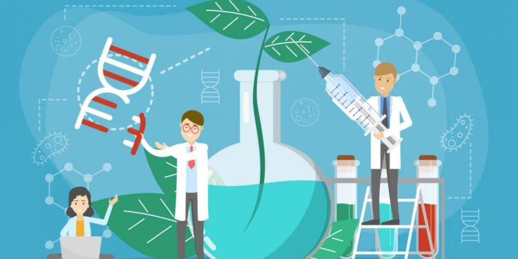 Rapport de la performance des départements du ministère de l’Enseignement supérieur 1 - Le Progrès Egyptien