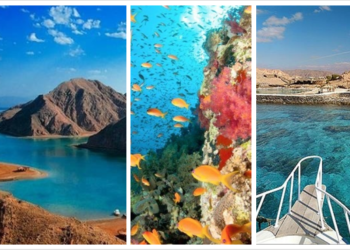 Entrée des réserves naturelles : 50% de remise pour les étudiants