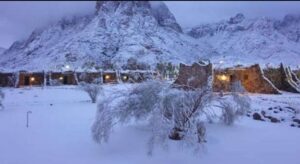 Un hiver sous le soleil de Rê 6 - Le Progrès Egyptien Un hiver sous le soleil de Rê 5 - Le Progrès Egyptien