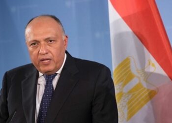 Choucri se rend à Riyad