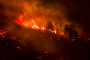2021, l'année des évènements marquants 21 - Le Progrès Egyptien
