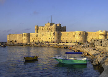 A Alexandrie, “Ayou” peut tout dire et rien !