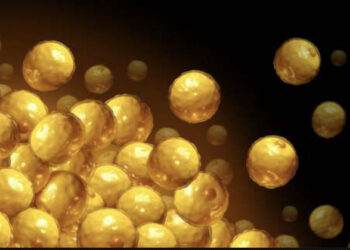 Le coronavirus peut-il infecter les cellules graisseuses ?