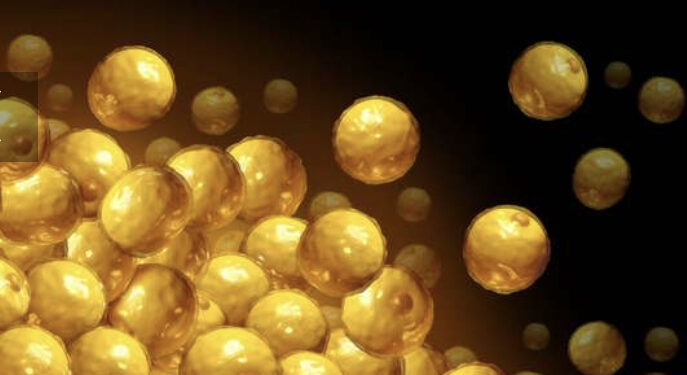 Le coronavirus peut-il infecter les cellules graisseuses ? 1 - Le Progrès Egyptien