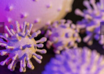 Les virus sont des alliés contre le cancer