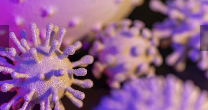 Les virus sont des alliés contre le cancer 2 - Le Progrès Egyptien Les virus sont des alliés contre le cancer 1 - Le Progrès Egyptien