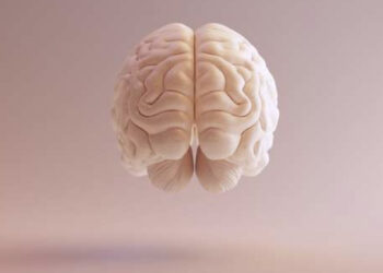 Les dégâts de la Covid-19 sur le cerveau humain