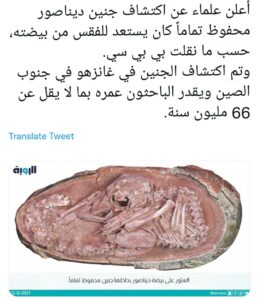 “Brrr…”, crient les internautes 29 - Le Progrès Egyptien