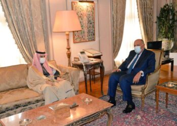L’Egypte et l’Arabie saoudite examinent le renforcement des relations bilatérales