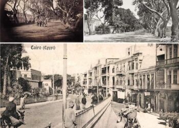 Choubra et l’île aux éléphants…