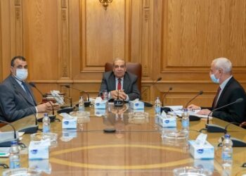 Entretiens égypto-émiratis pour examiner la coopération conjointe