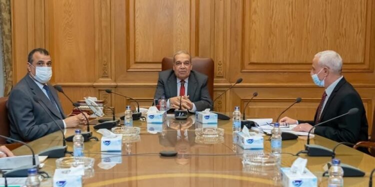 Entretiens égypto-émiratis pour examiner la coopération conjointe 1 - Le Progrès Egyptien