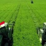 Pas d’impossible : En trois ans, le désert vêtu de vert 15 - Le Progrès Egyptien