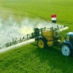 Pas d’impossible : En trois ans, le désert vêtu de vert 17 - Le Progrès Egyptien