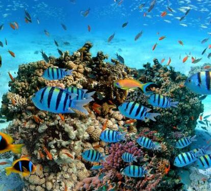 Paysage magnifique 1 - Le Progrès Egyptien