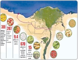 Nouveau Delta, nouveau poumon 5 - Le Progrès Egyptien