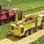 Pas d’impossible : En trois ans, le désert vêtu de vert 11 - Le Progrès Egyptien