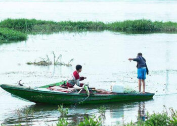 A Béni Soueif, les eaux du Nil sont généreuses