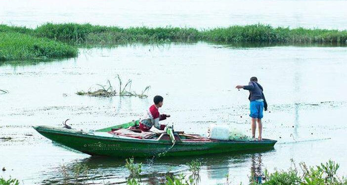 A Béni Soueif, les eaux du Nil sont généreuses 2 - Le Progrès Egyptien A Béni Soueif, les eaux du Nil sont généreuses 1 - Le Progrès Egyptien