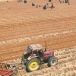 Pas d’impossible : En trois ans, le désert vêtu de vert 9 - Le Progrès Egyptien