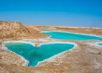 Derrière la caméra, un univers enchanté