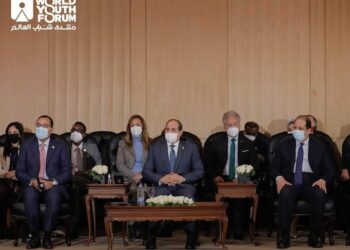 FMJ: Al-Sissi assiste à la simulation du CDH