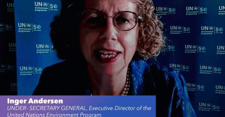 FMJ-PNUE : L’Egypte dirigera la COP27 1 - Le Progrès Egyptien