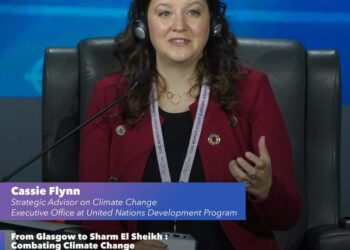 FMJ: Le PNUD fait l’éloge des efforts de l’Egypte