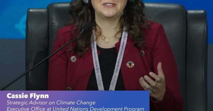 FMJ: Le PNUD fait l'éloge des efforts de l’Egypte 1 - Le Progrès Egyptien