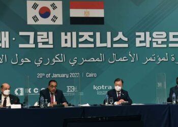 Table ronde égypto-sud-coréenne  