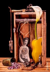 Hany Youssef, le génie de la photographie 3 - Le Progrès Egyptien