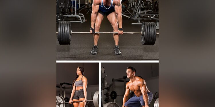 Le soulevé de terre, un exercice polyarticulaire complet 2 - Le Progrès Egyptien Le soulevé de terre, un exercice polyarticulaire complet 1 - Le Progrès Egyptien