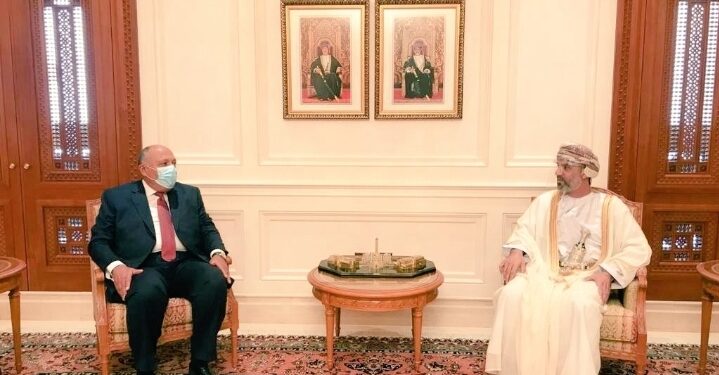 Choucri s’entretient avec le président du conseil omanais de la Choura 1 - Le Progrès Egyptien