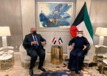 Choucri s’entretient avec son homologue koweïtien    