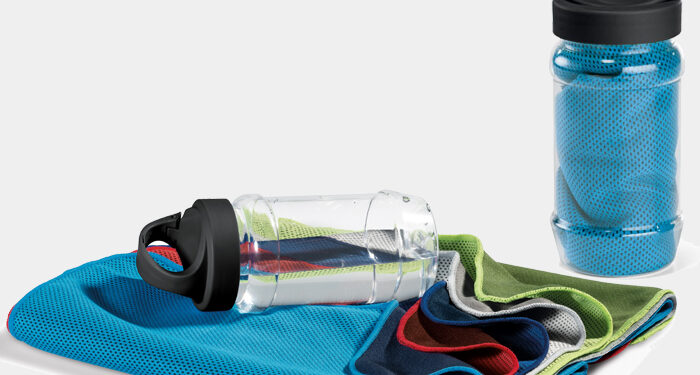 Les accessoires de voyage 1 - Le Progrès Egyptien