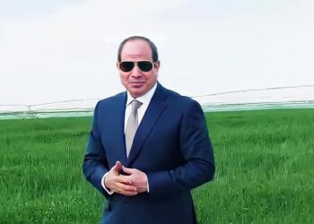 Pas d’impossible  : En trois ans, le désert vêtu de vert