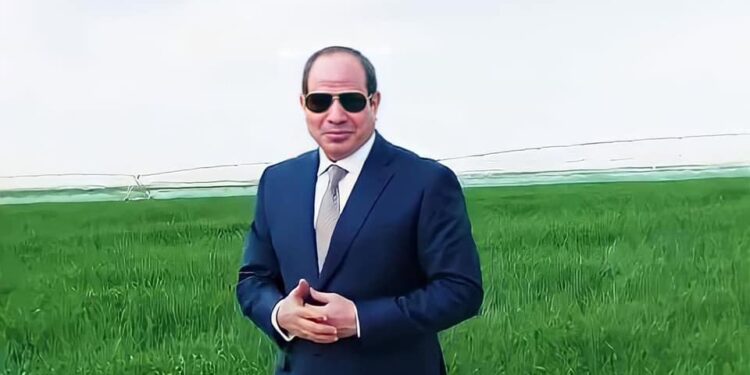 Pas d’impossible : En trois ans, le désert vêtu de vert 1 - Le Progrès Egyptien