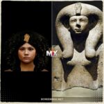 Une véritable fascination sur les médias sociaux 15 - Le Progrès Egyptien