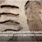 Une véritable fascination sur les médias sociaux 23 - Le Progrès Egyptien