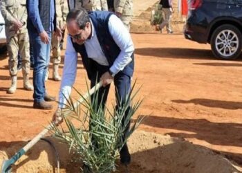 Nouveau Delta, nouveau poumon