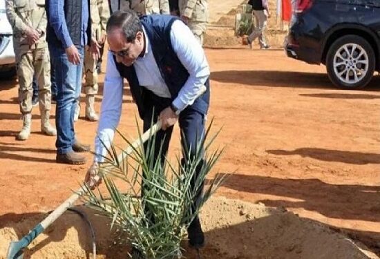 Nouveau Delta, nouveau poumon 1 - Le Progrès Egyptien