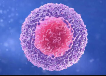 Du magnésium pour optimiser l’efficacité des immunothérapies