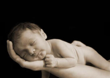 Comment s’effectue le tri des synapses lors du développement cérébral ?