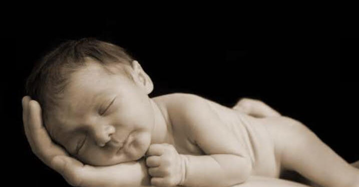 Comment s’effectue le tri des synapses lors du développement cérébral ? 1 - Le Progrès Egyptien