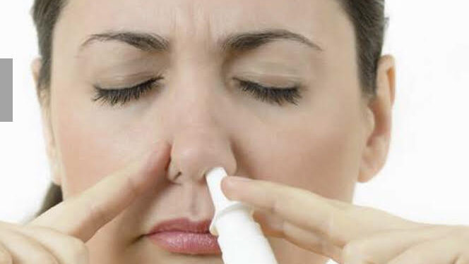 Covid : Un vaccin nasal capable de bloquer toute transmission 1 - Le Progrès Egyptien