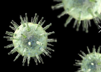 Un virus serait à l’origine de  la  sclérose  en  plaques